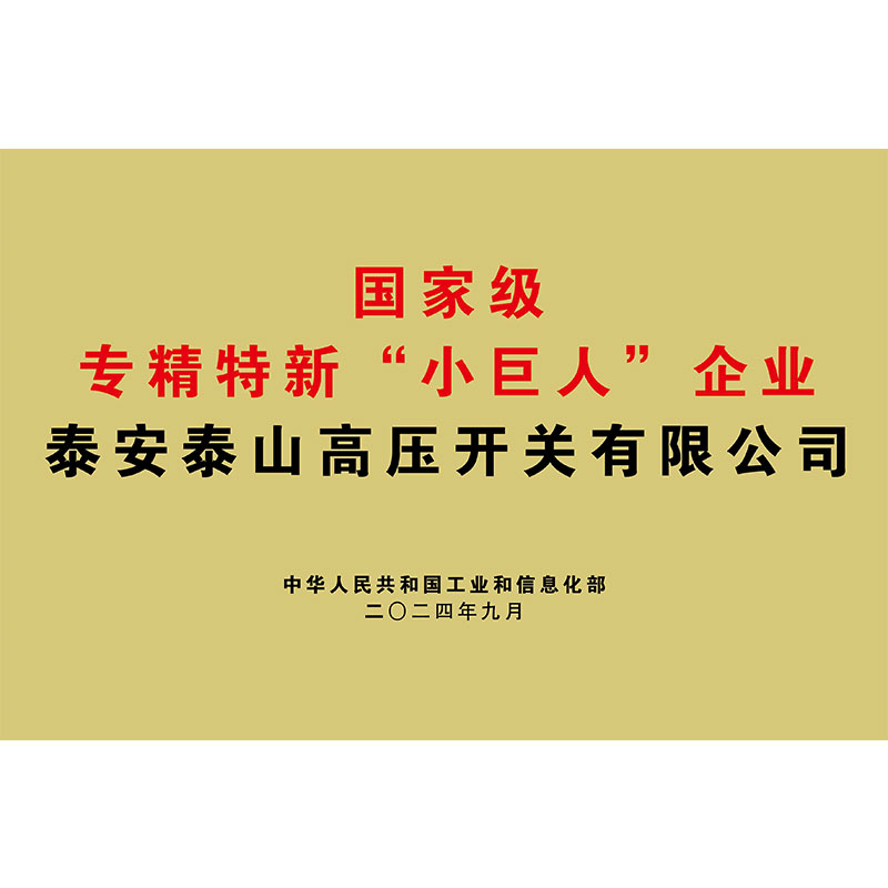 國家級(jí)專精特新“小巨人”企業(yè)
